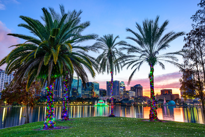 Orlando skyline with palm trees